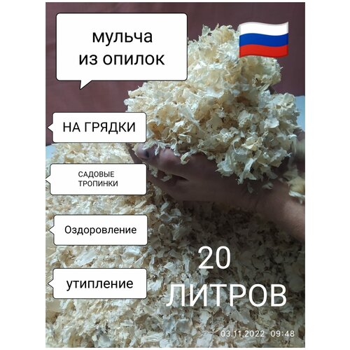 ������ ������ ������ (������) ��������� ��� ���� � ������� ����