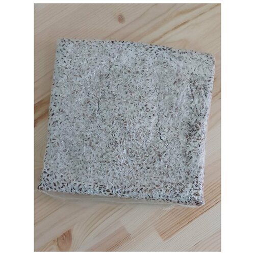 ������ ������ ������� ������� ����