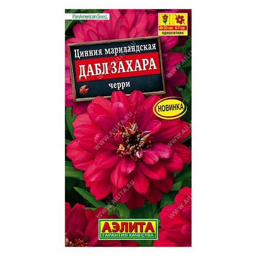 ������ ������ ������. ������ 