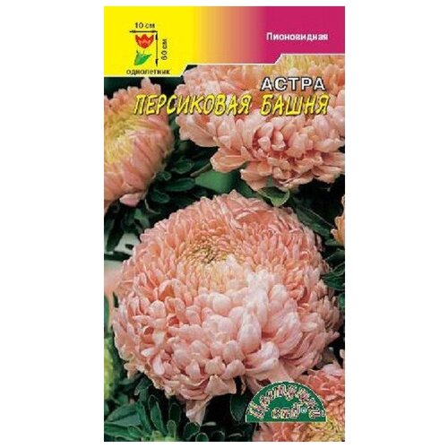 ������ ������ ������ �������� ��� 