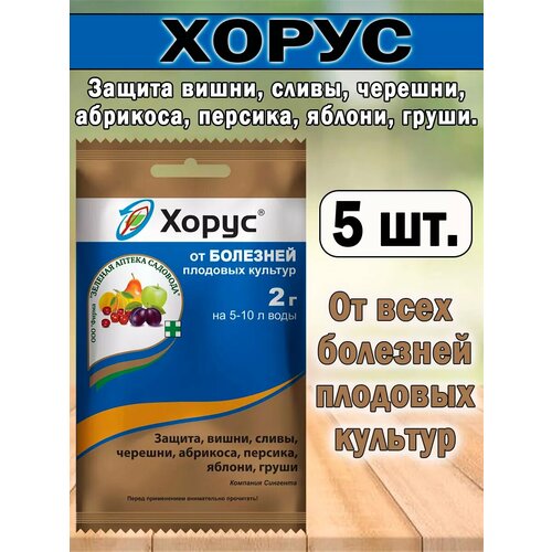 ������ ������ ����� 2 �, ������ �������� �� �������� ����