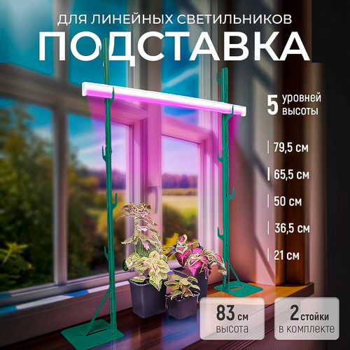 ������ ������ ��������� ��� ���������, 5 �������, ��������� ��� ��������� 83 �� ����