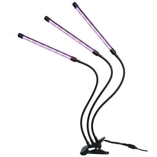 ������ ������ ������������ ��������� �� �������� 3�10 ��, ������ ������ ����