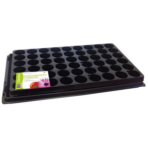 ������ ������ ������� ��������� � �������� ����