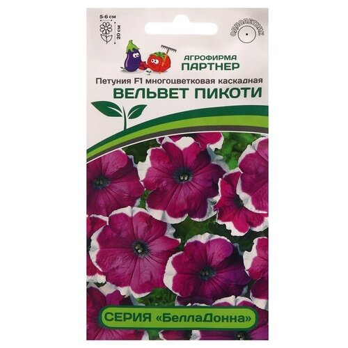 ������ ������ ������ ������� 