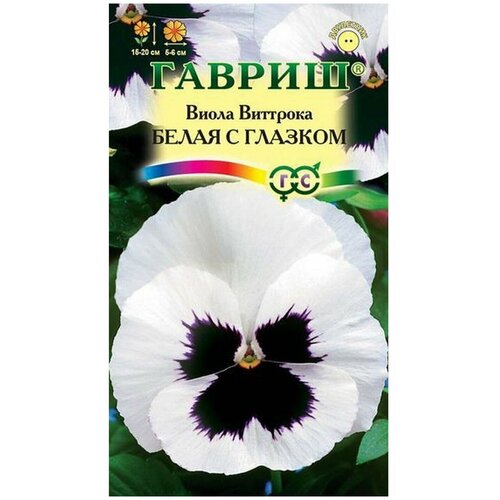 ������ ������ ������ ����� �������� ����� � ������� ����