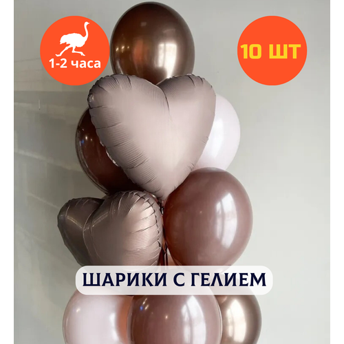 ������ ������ ������ ��������� �� ���� ��������, ��������� ���� � ������, ���� � ���� ��������, ����� ����� ��� ������� 