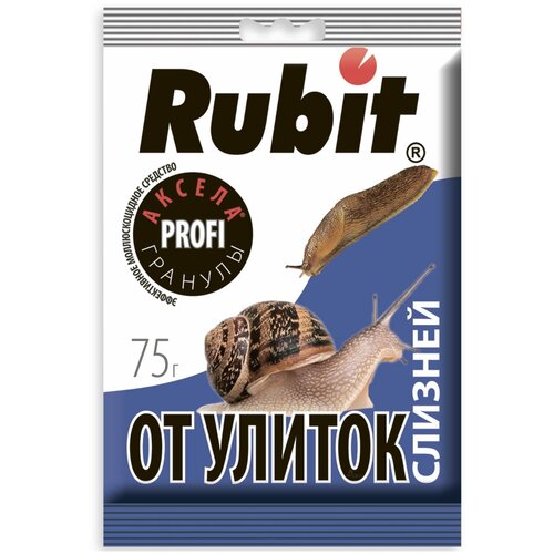 ������ ������ �������� �� ������ � ������� ����� ������, 75 � ����