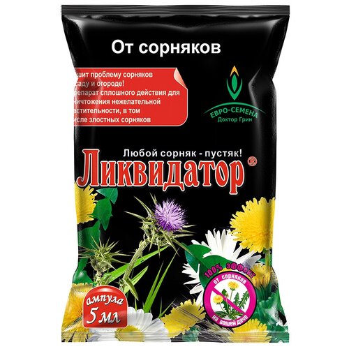 ������ ������ ���������� (������ 5 ��) �������� �� �������� ����