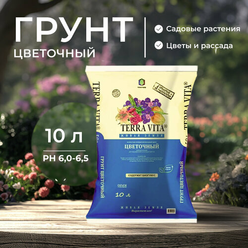 ������ ������ ������������� ��������� ����� ��� ��������� �������� � ������� 10 �, ����������� ���������� ����� ����� ��� ������ ����