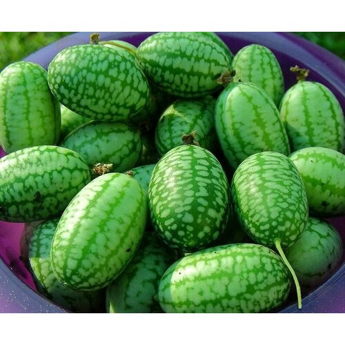 ������ ������ ������ �������� ������ 