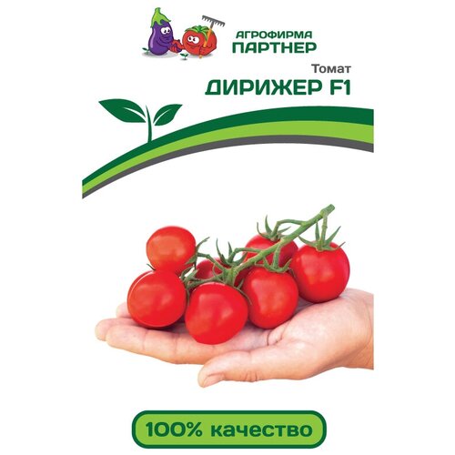 ������ ������ ������ ������ 