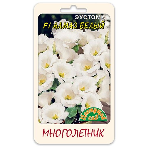 ������ ������ ������ �������� ��� 