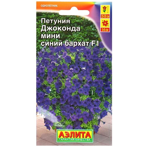 ������ ������ ������ ������� �������� ���� F1 ����� ������, 7 �� ����