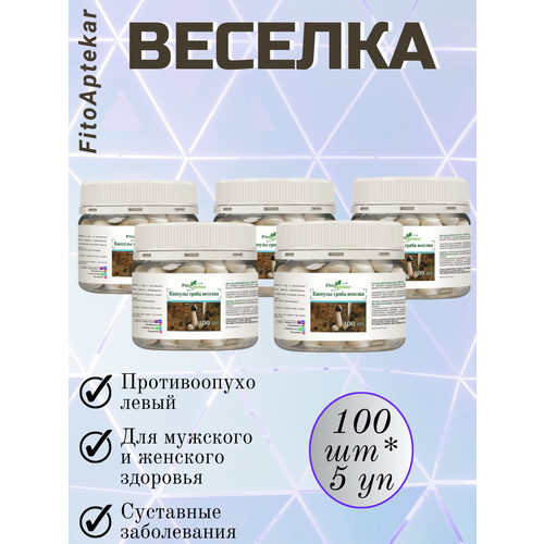 ������ ������ ���� ������� � �������� 100��*5 �������� ����