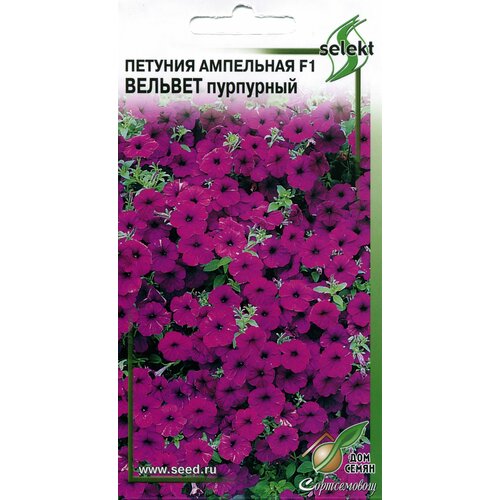 ������ ������ ������� ��������� F1 ������� ���������, 10 ����� ����