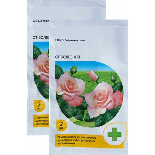 ������ ������ �������� �� �������� ��� � ������ ��������� �������, 2 ������ �� 2 ��. ����������� �������� ��� ������ � ������������� ��������� ����, ����� ����� � ������ ����������� ����