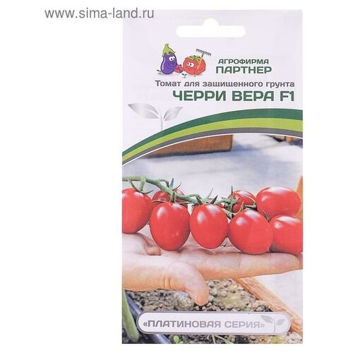 ������ ������ ������ ������ ����� 