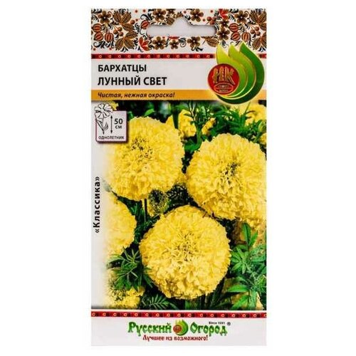 ������ ������ ������. �����. �������� 