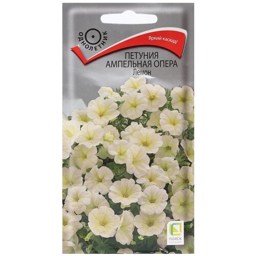 ������ ������ ������ ����� ������� ��������� ����� �����, 5 �� ����