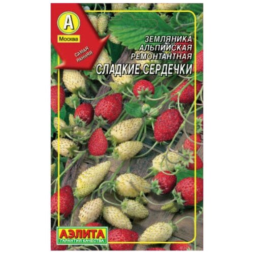 ������ ������ ������. ��������� 