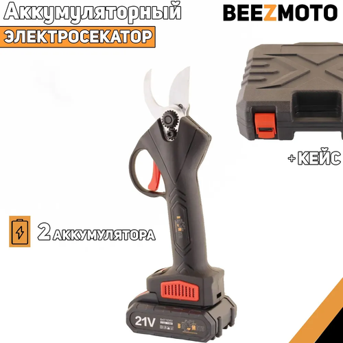 ������ ������ �������������� ������� ������� 21V (1.5Ah, 2 ���(Li-Ion), +����, ������) 