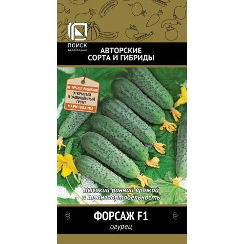 ������ ������ ������ ������ ������ F1 12�� ������������������ ������ (�����) ����� ����