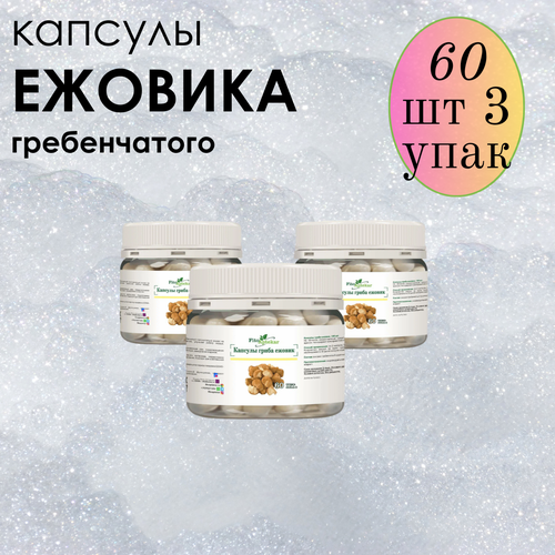 ������ ������ ������ ���� ����������� � �������� ����-��������, ����������� ������� ������� 60 ��*3 �������� ����