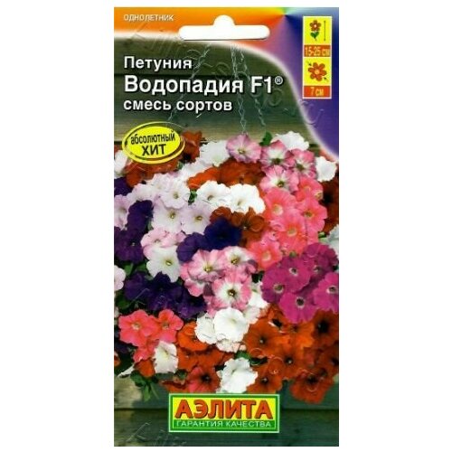 ������ ������ ������� �������������� ��������� ��������� F1 ( 1 �������� ) , ����� ������� ����