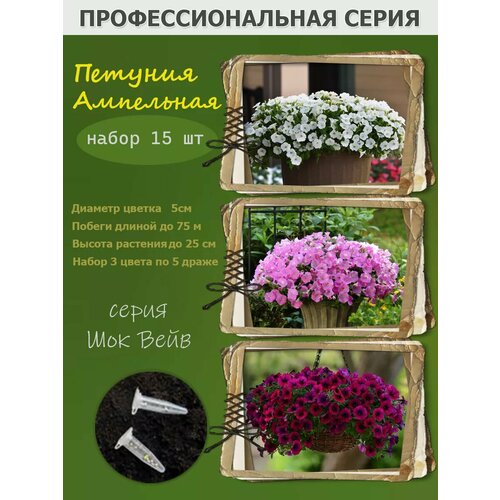 ������ ������ ��������� ������� Shock Wave ��� ���� ����� 3 ����� ����