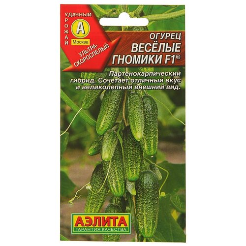 ������ ������ ������ ��������� ������ ������ ������� ������� F1 10 ��, 0,25 � ����