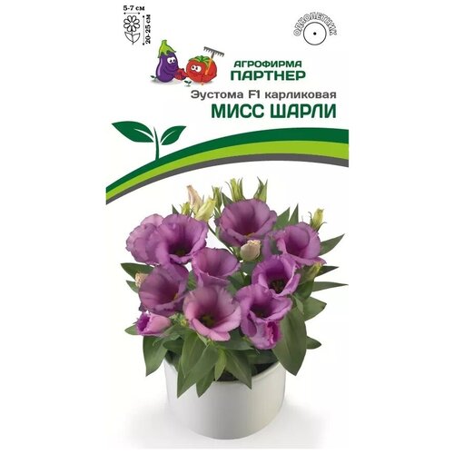 ������ ������ ������ ������� ���������� ���� ����� F1 /��������� �������/ 1 ��������, 5 ����� ����