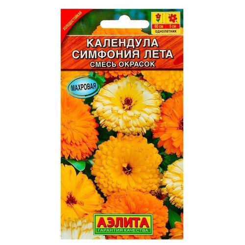 ������ ������ ������. ��������� 