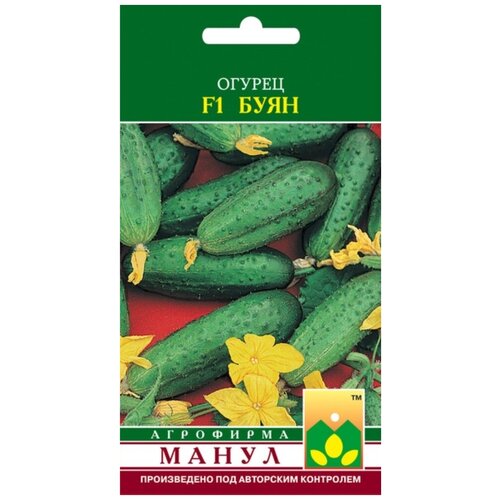 ������ ������ ������ F1 ���� 10 �� ����� ����