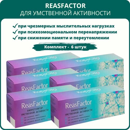  ReasFactor ()   , 10 ,  6    -     , -,   