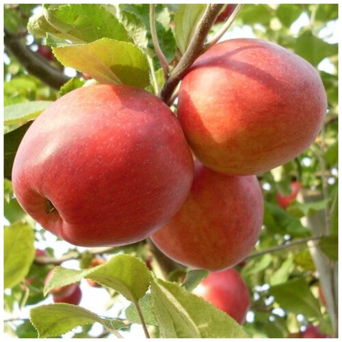 ������ ������ ������ ������ ������ ����� ��������� 10 ��. ����