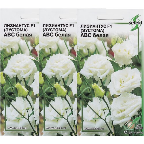 ������ ������ ��������� F1 (�������) ��� �����, 3 �������� �� 5 ����� ����