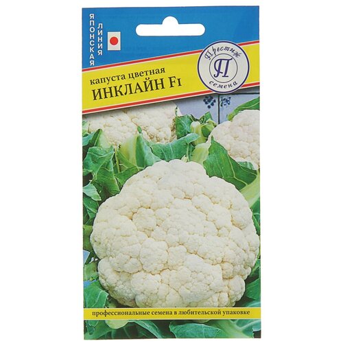 ������ ������ ������ ������� ������� 