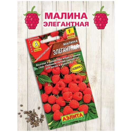 ������ ������ ������ 