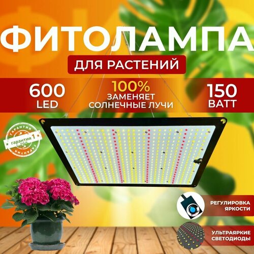 ������ ������ ��������� ��� ����������� �������� ������� ������ ������, ���������������� �������������� ������������ Quantum board, ����� ��������� ��� ������ � �������� 150 ���� ����