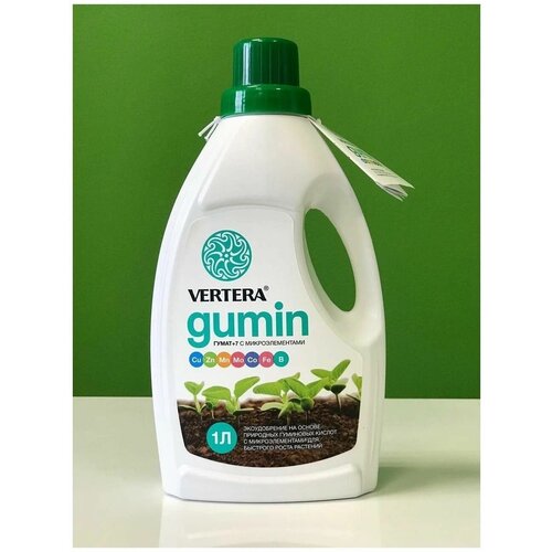 ������ ������ Vertera Gumin. ������������. ���������. ����