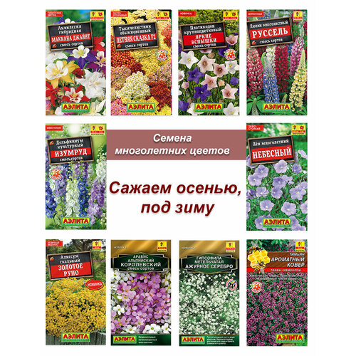 ������ ������ ������ �������������, ����� ����� ����������� ������ ����