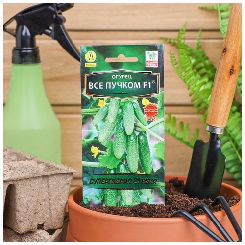 ������ ������ ������ ��������� ������ ������ ��� ������, F1, 10 �� ����