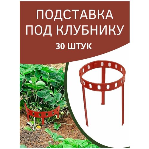 ������ ������ ��������� ����� ������ ��� �������� � �������� 14,5� 34,5 �� 30 �� ����