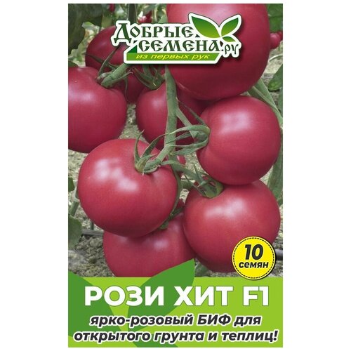 ������ ������ ������ ������ ���� ��� F1 - 10 �� - ������ ������. �� ����