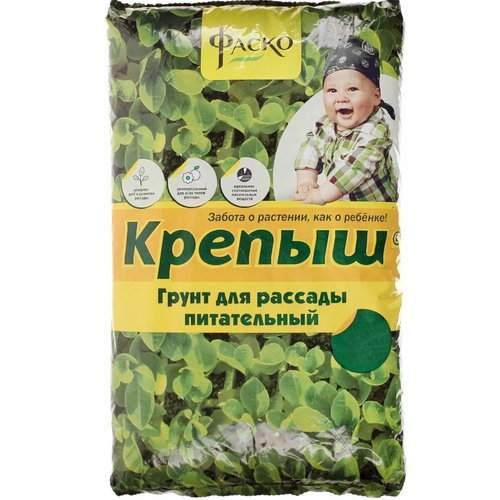 ������ ������ ����� ����� 