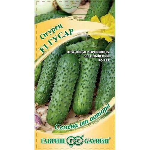 ������ ������ ������ ������ ����� F1 ����, �����������, (������) 10�� �20 ����