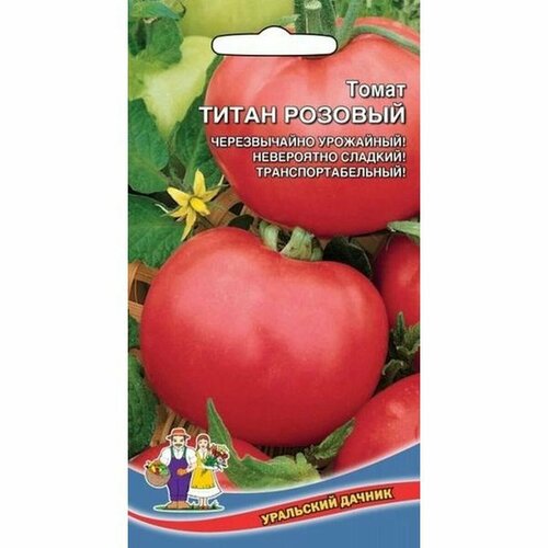 ������ ������ ������ ����� ����� ������� (�����������), ������������, 20�� ����