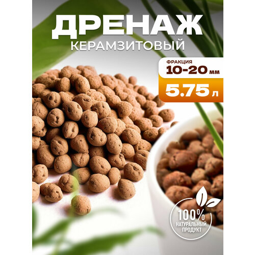 ������ ������ ������ �������, �������� ��� ������ � �������� 5,75 � InHome Green ����