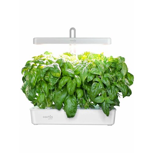 ������ ������ ����������� ������� CS-LEDPOT-10 � LED ���������� 2.0� ����